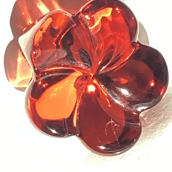 Bac’ Beauty!! - Picture 2 of 4